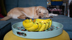 Yellow ceramic banana sculpture on a decorative tray with a dog lying in the background