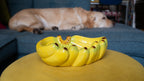 Ceramic banana-shaped bowl on a yellow surface with a dog lying in the background.