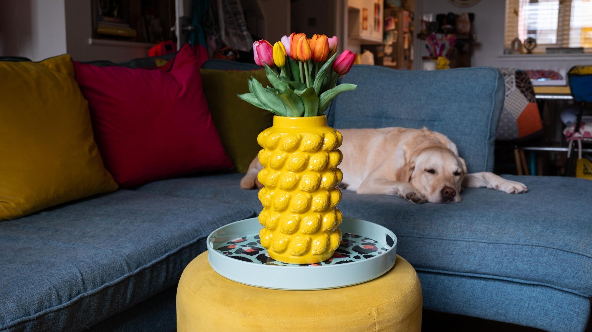 Yellow lemon embossed vase with colorful tulips on a blue couch with a dog lying down.